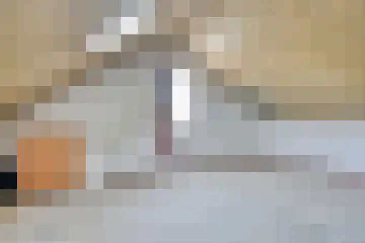 Gieteling 49 Raalte thumbnail 33