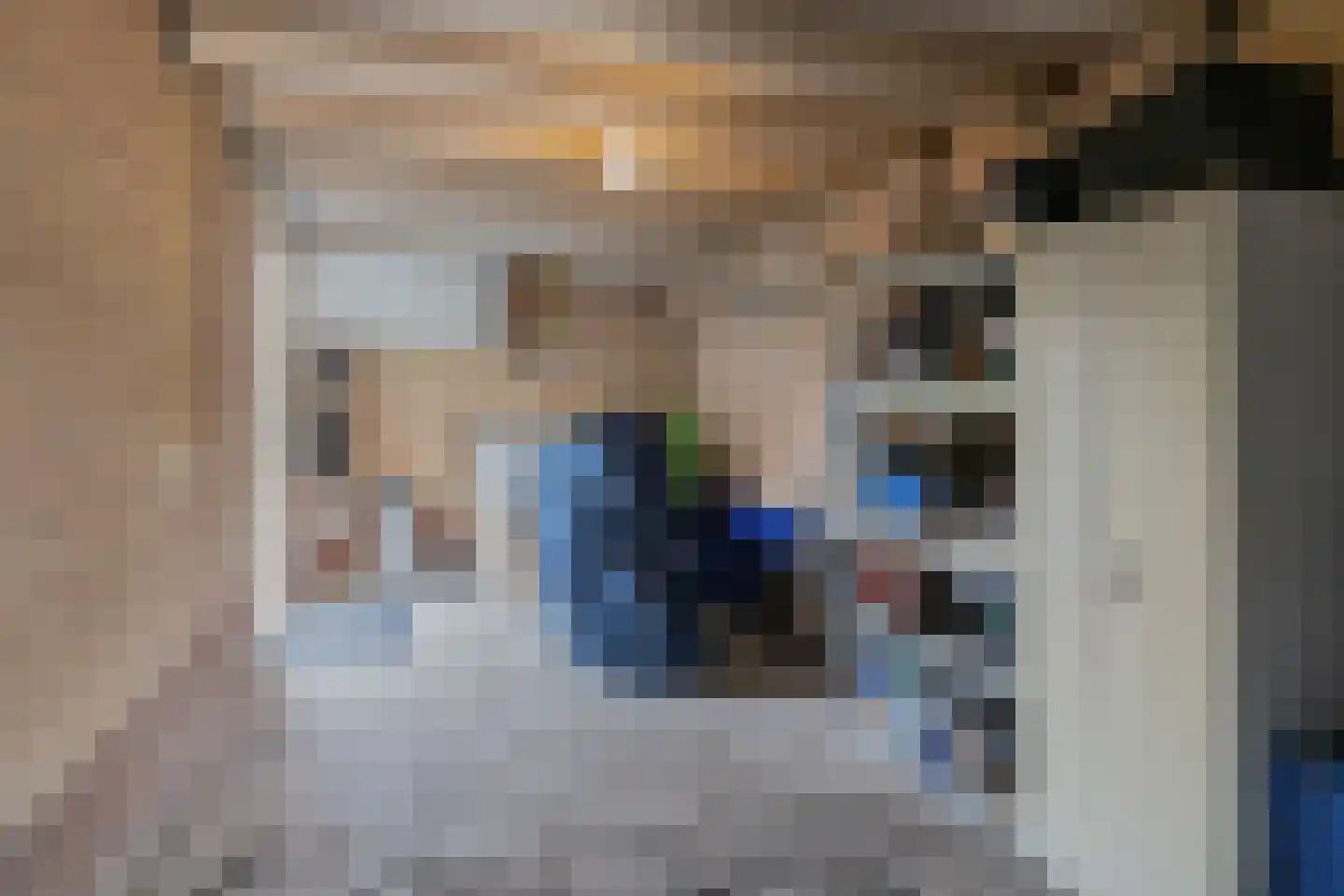 Gieteling 49 Raalte thumbnail 33