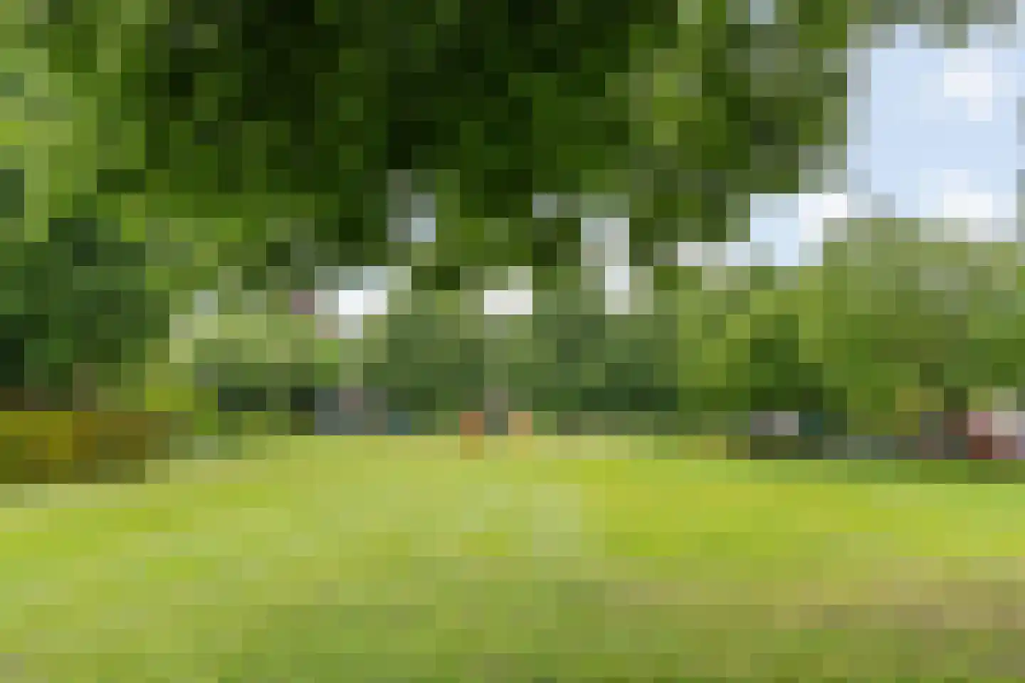 Gieteling 49 Raalte thumbnail 34