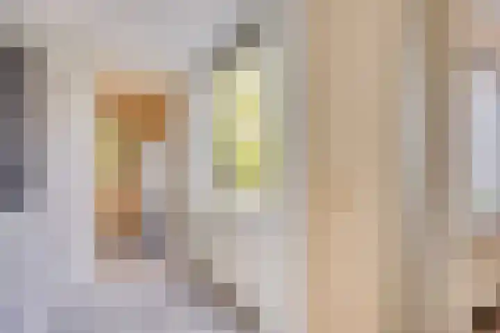 Gieteling 49 Raalte thumbnail 34