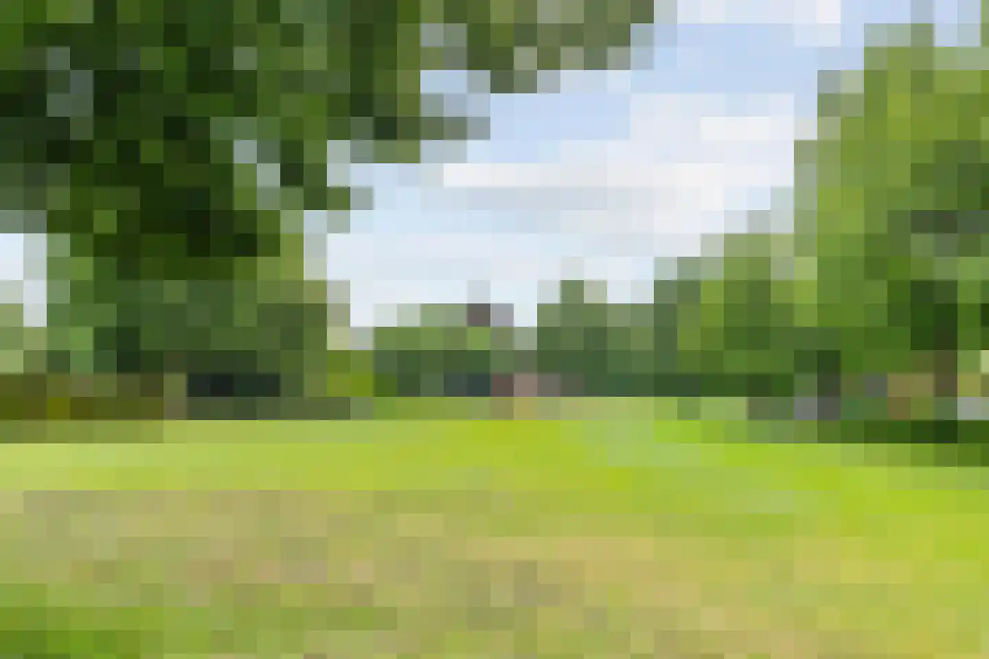 Gieteling 49 Raalte thumbnail 35