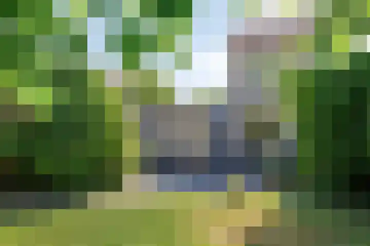 Gieteling 49 Raalte thumbnail 37