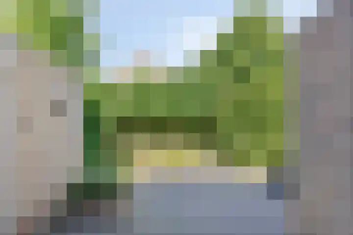 Gieteling 49 Raalte thumbnail 39