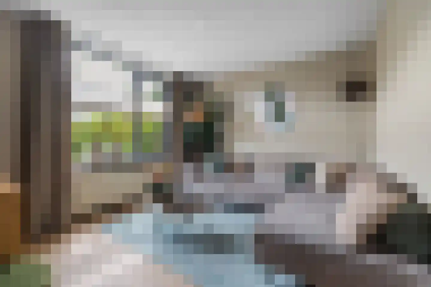 Gieteling 49 Raalte thumbnail 4