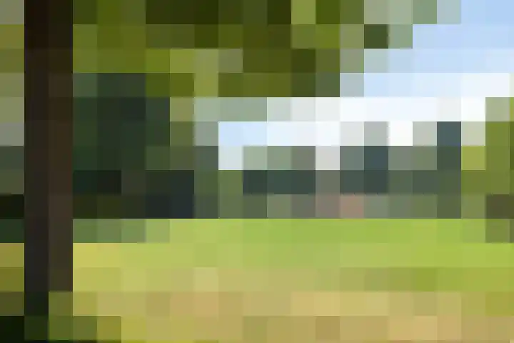 Gieteling 49 Raalte thumbnail 45