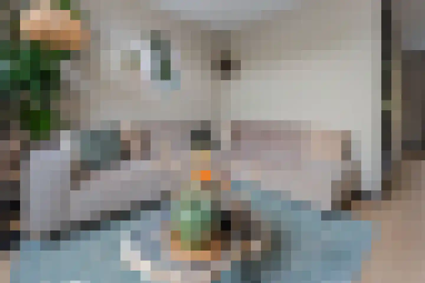 Gieteling 49 Raalte thumbnail 5