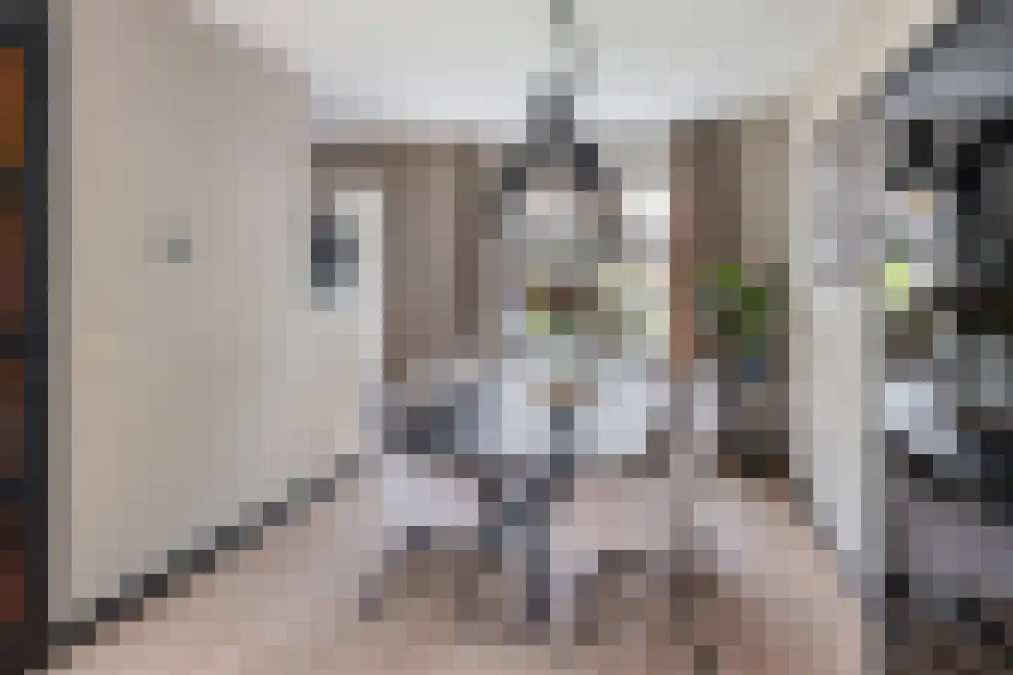 Gieteling 49 Raalte thumbnail 8