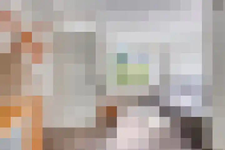 Gieteling 49 Raalte thumbnail 9