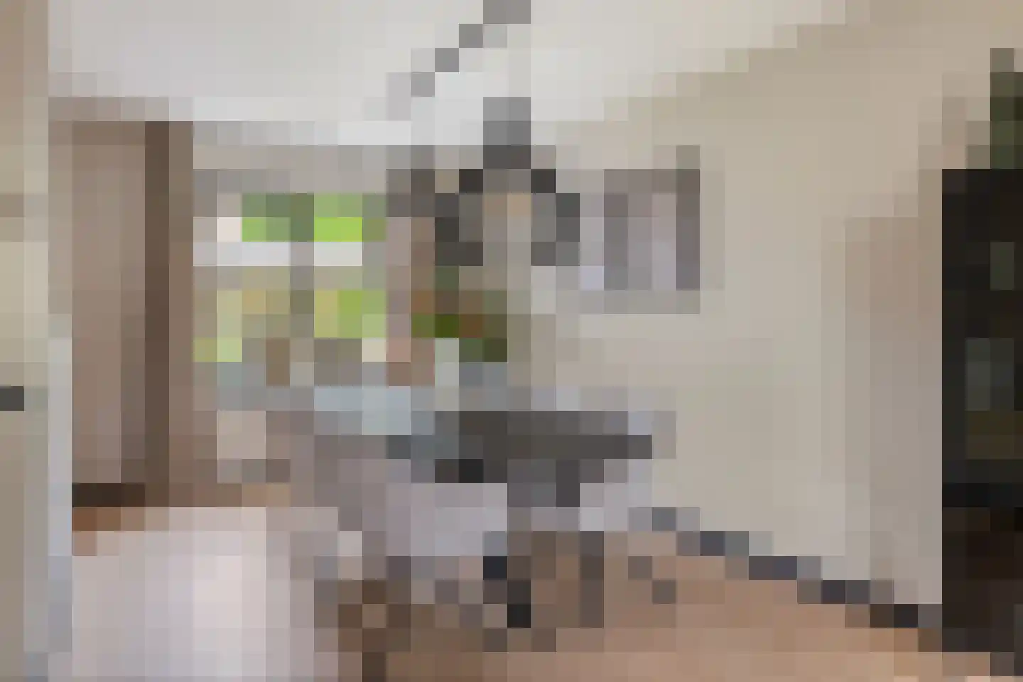 Gieteling 49 Raalte thumbnail 9