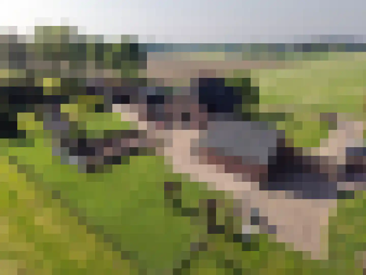 Gietelinkdijk 1 Hengelo (Gld) thumbnail 53