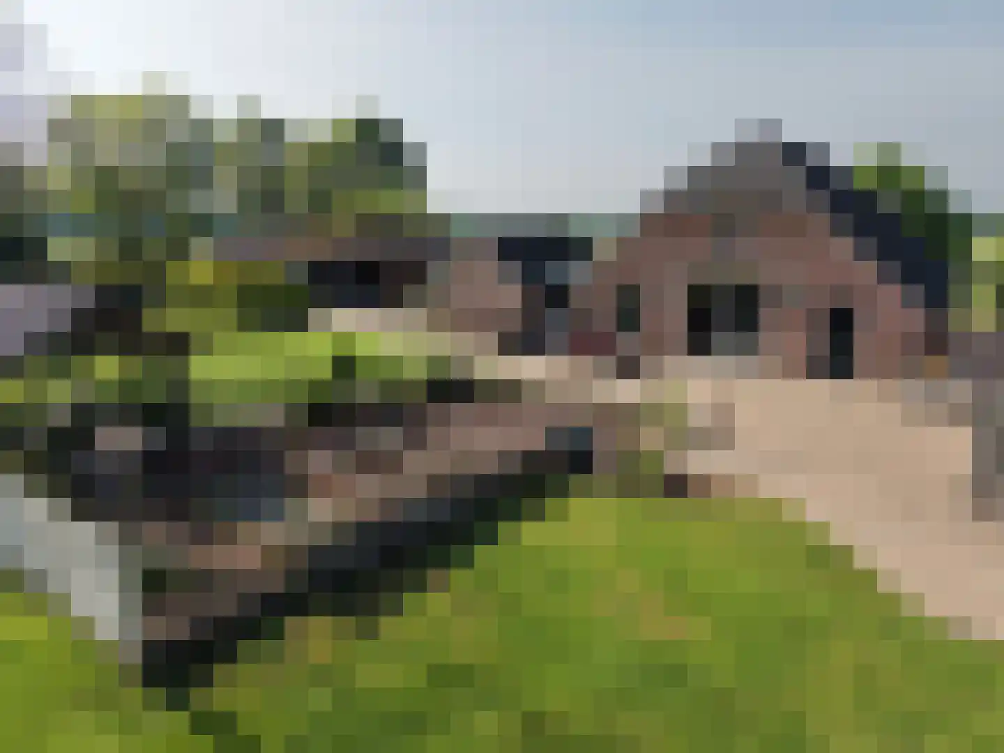 Gietelinkdijk 1 Hengelo (Gld) thumbnail 6