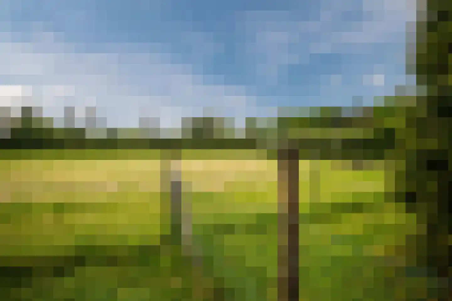 Gietelinkdijk 1 Hengelo (Gld) thumbnail 60