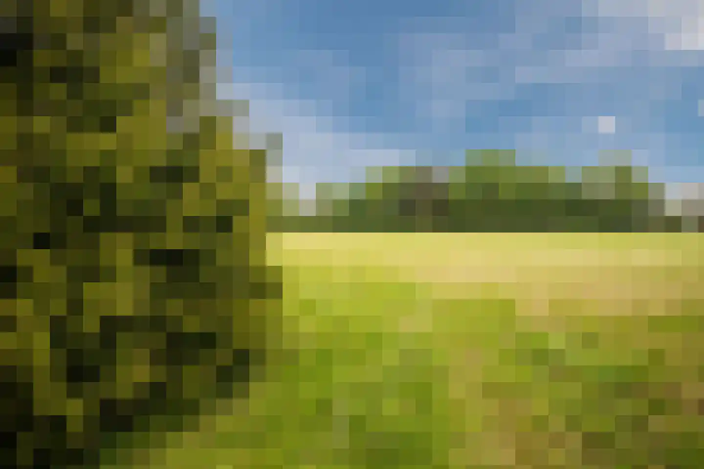 Gietelinkdijk 1 Hengelo (Gld) thumbnail 79