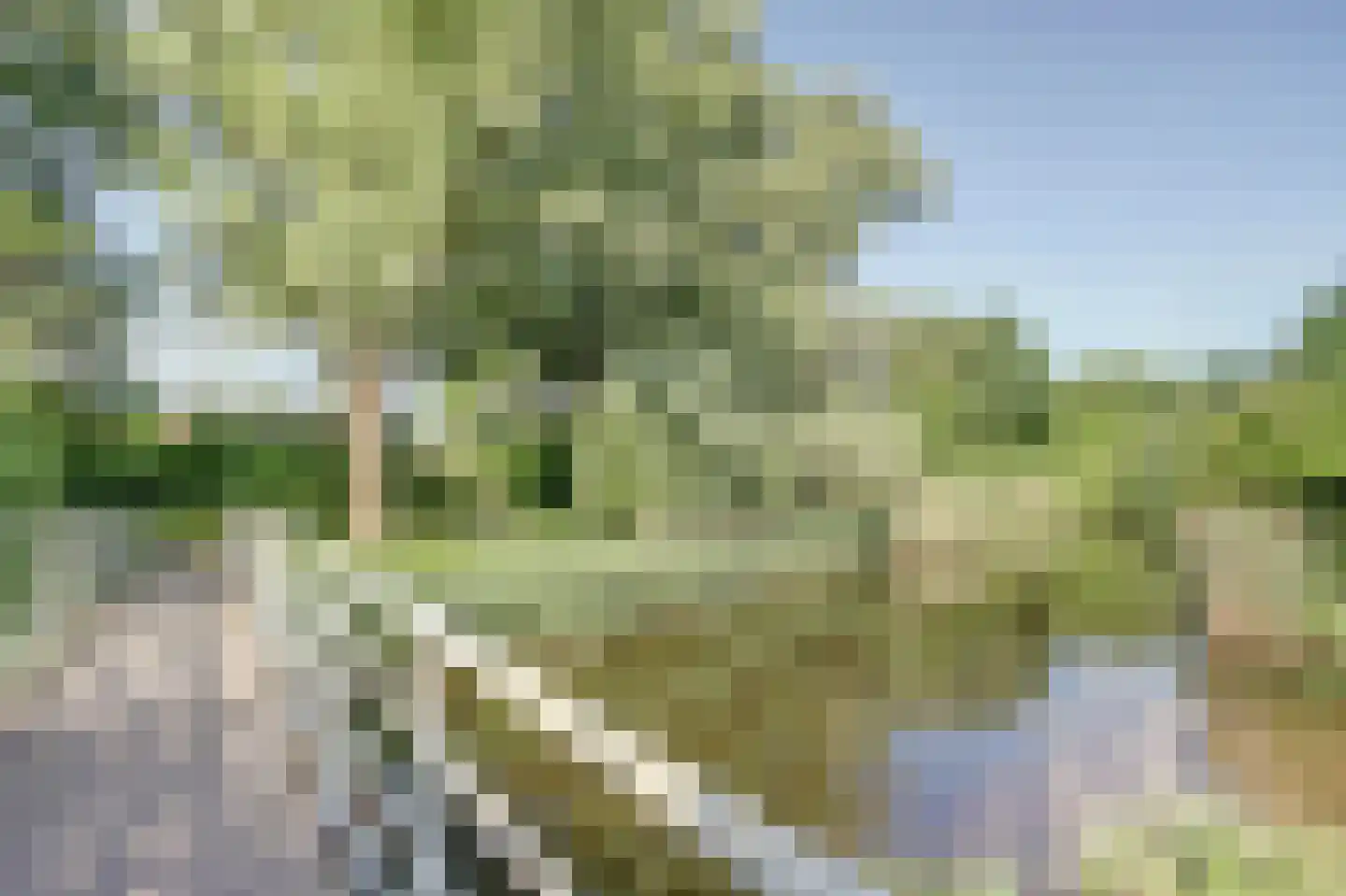 Gieterij 12 Alkmaar thumbnail 27