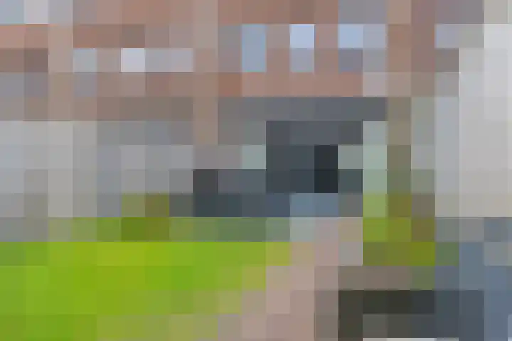 Gieterij 21 Vaassen thumbnail 25