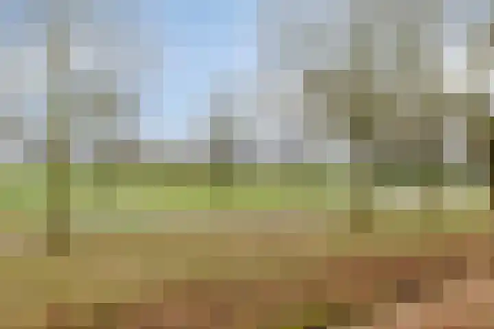 Gieterij 21 Vaassen thumbnail 28