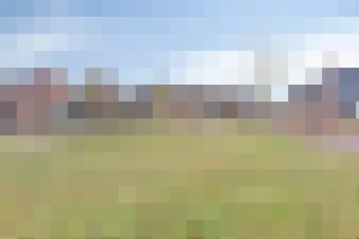 Gieterij 21 Vaassen thumbnail 29