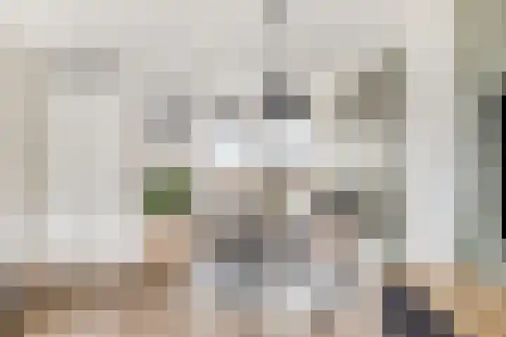 Gieterij 21 Vaassen thumbnail 6