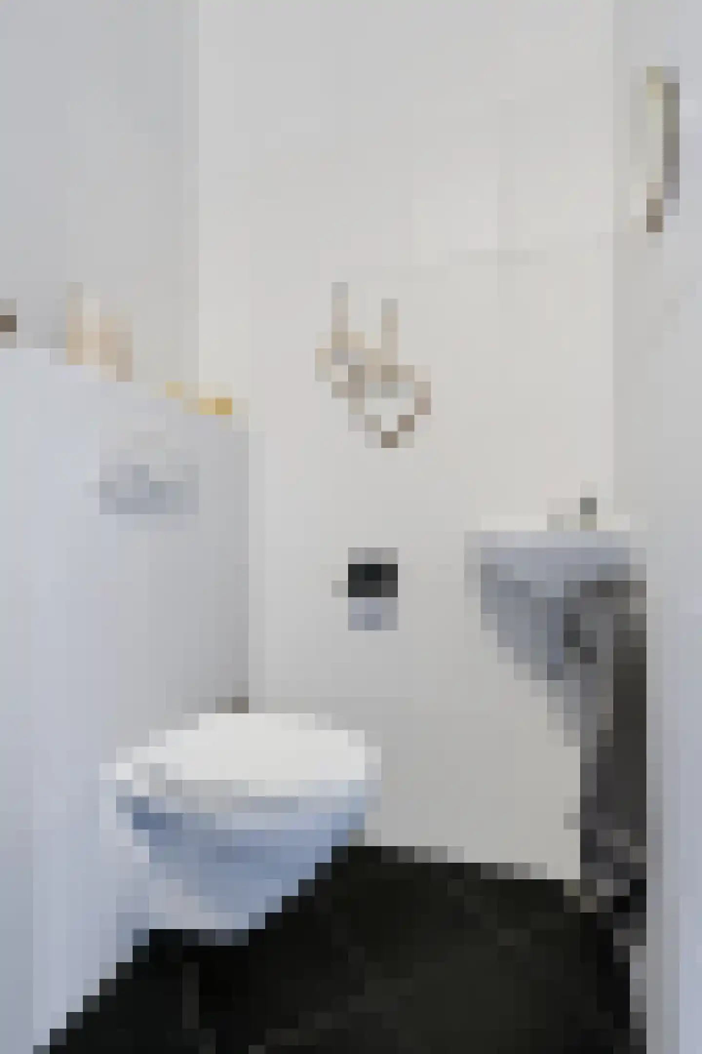 Gieterij 33 Vaassen thumbnail 11
