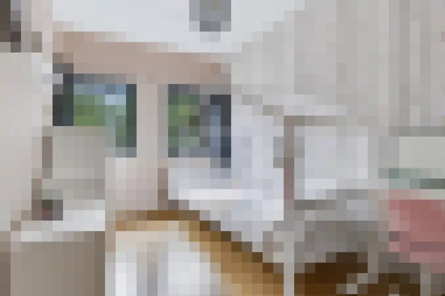 Gieterij 33 Vaassen thumbnail 17