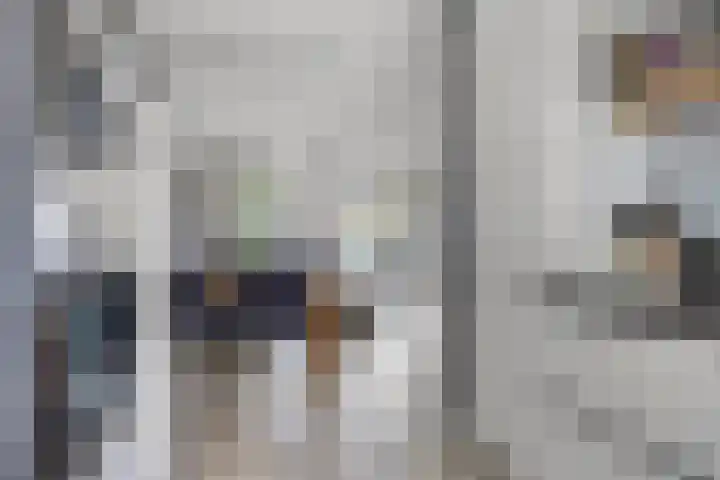 Gieterij 55 Vaassen thumbnail 10