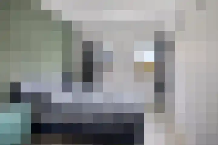 Gieterij 55 Vaassen thumbnail 16