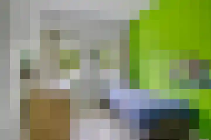 Gieterij 55 Vaassen thumbnail 21