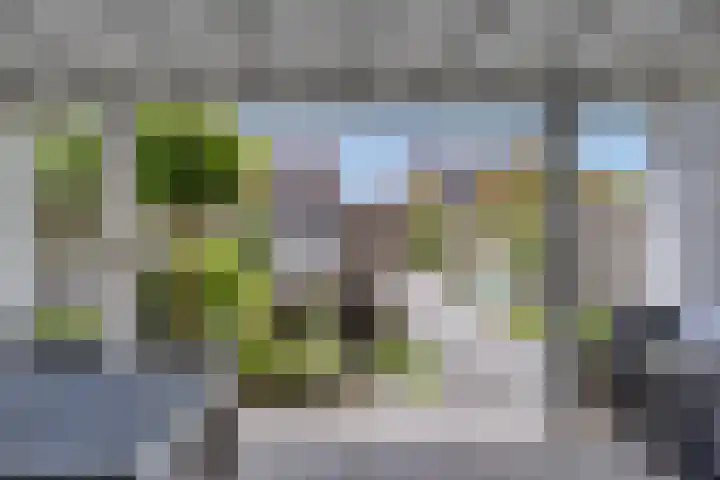 Gieterij 55 Vaassen thumbnail 25