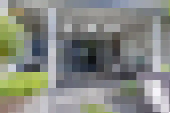 Gieterij 55 Vaassen thumbnail 26