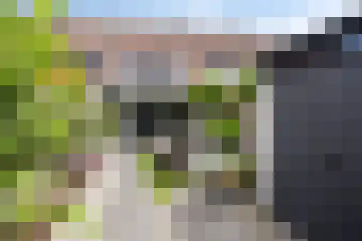 Gieterij 55 Vaassen thumbnail 28