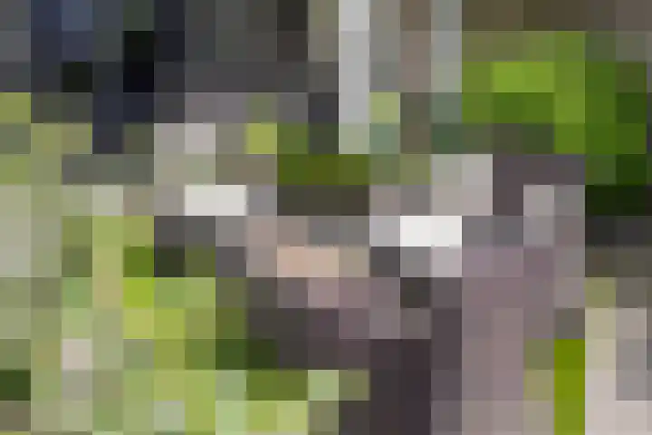 Gieterij 55 Vaassen thumbnail 30