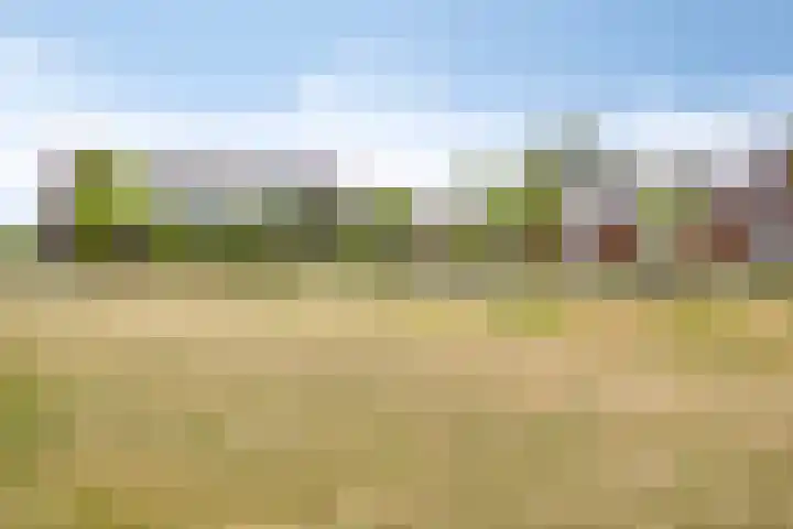 Gieterij 55 Vaassen thumbnail 33