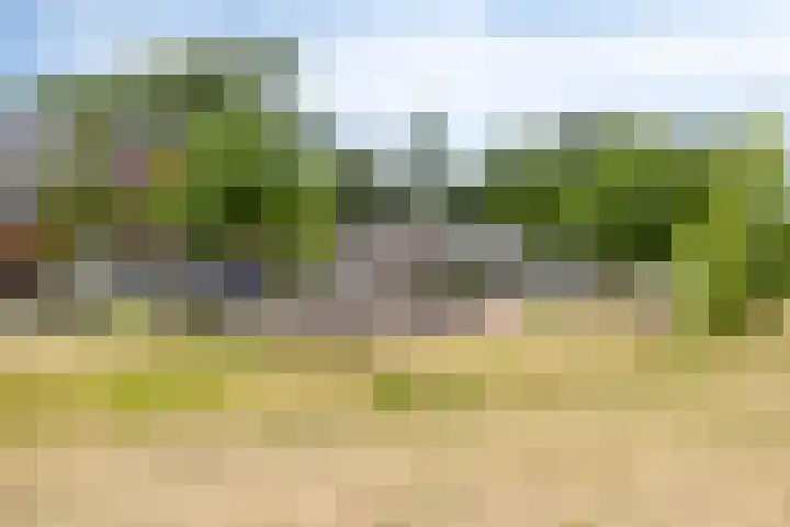 Gieterij 55 Vaassen thumbnail 34