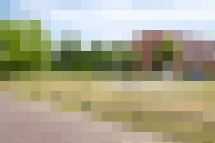 Gieterij 55 Vaassen thumbnail 35