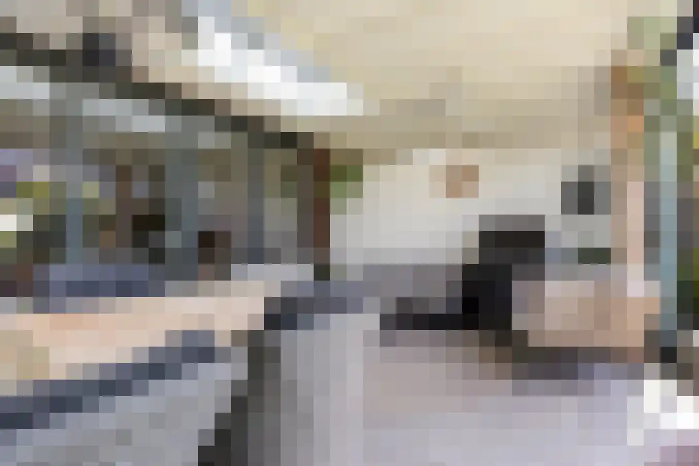Gieterij 57 Vaassen thumbnail 11