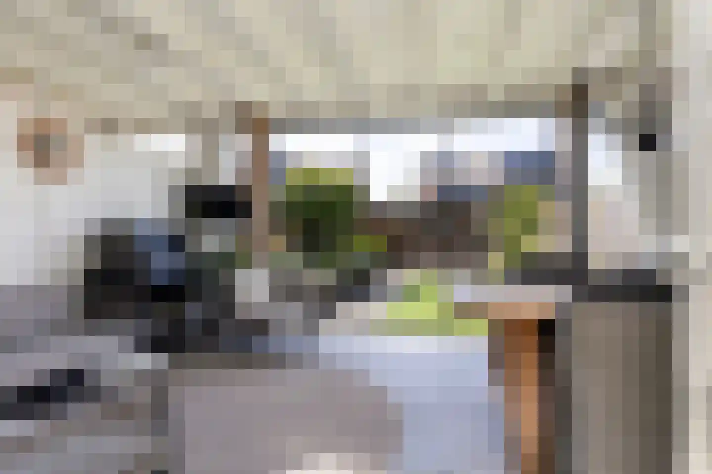 Gieterij 57 Vaassen thumbnail 8