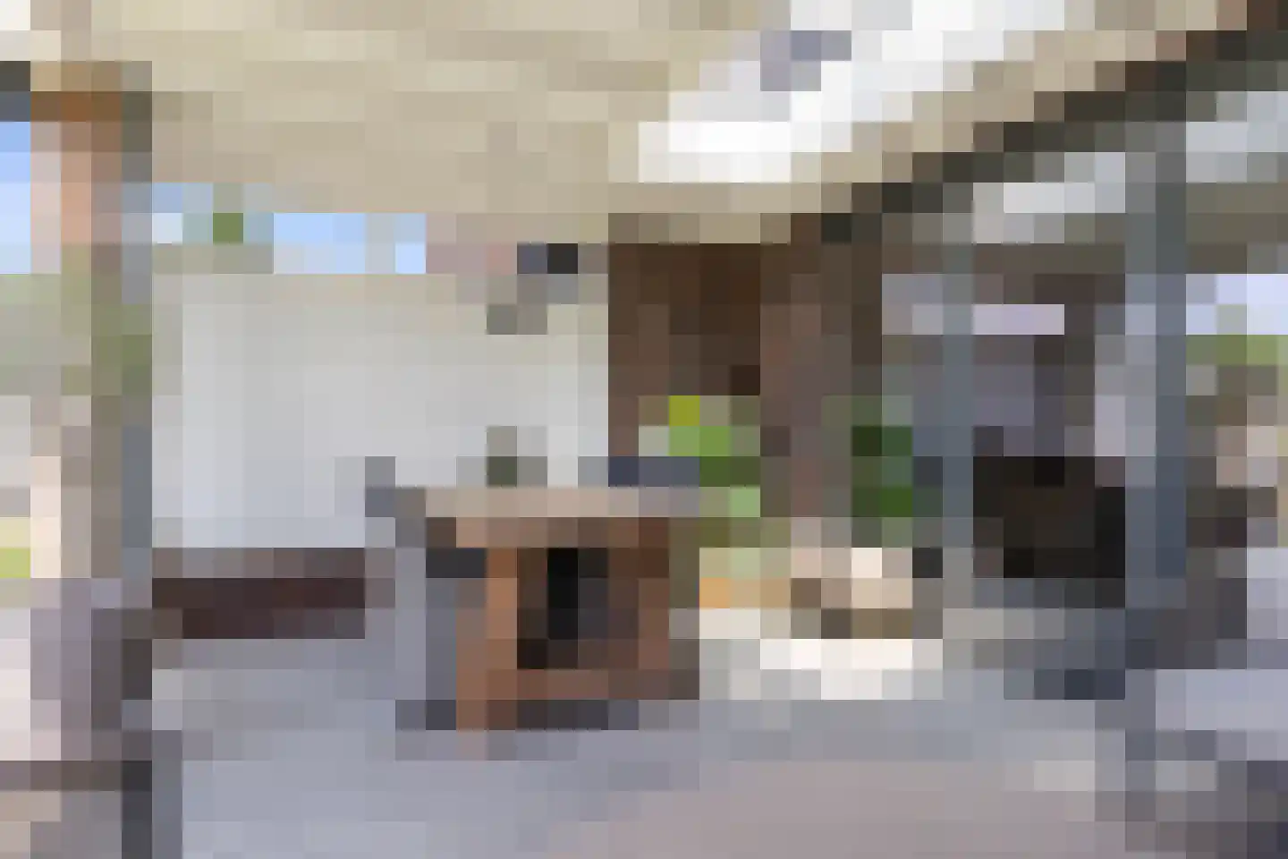 Gieterij 57 Vaassen thumbnail 9