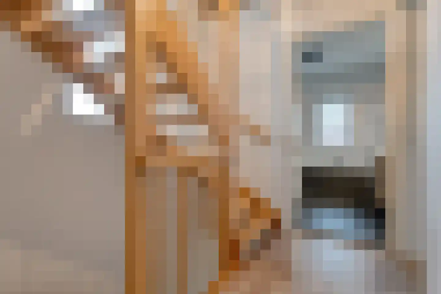 Gieterijstraat 15 Heeten thumbnail 17