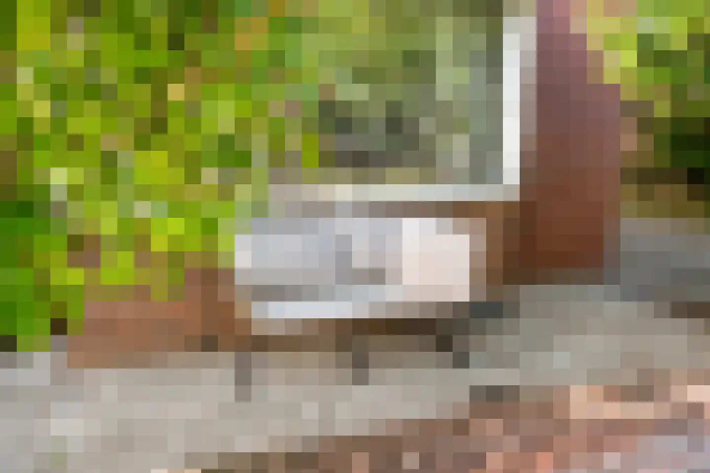 Gieterijstraat 17 Deventer thumbnail 31