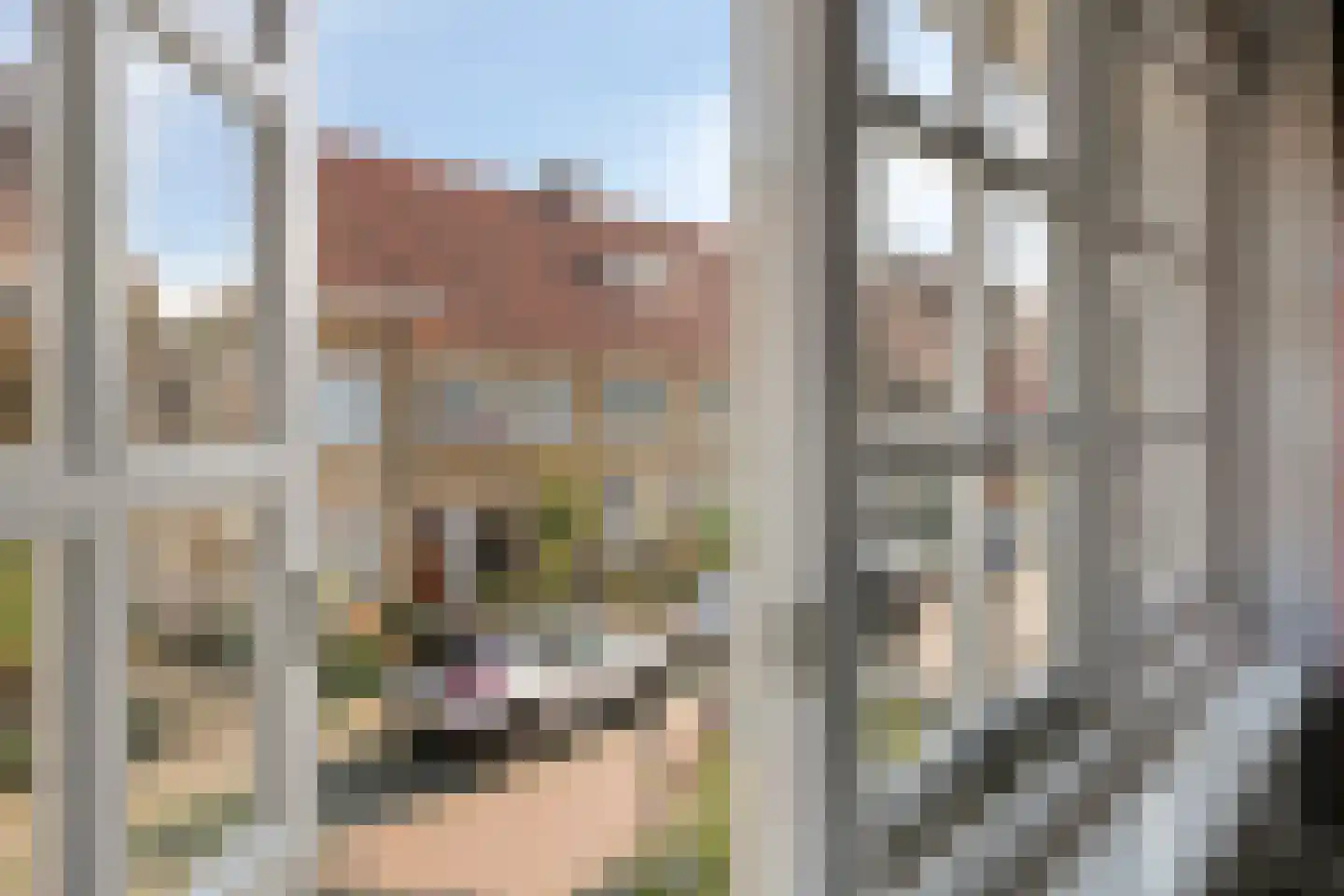 Gieterijstraat 59 Deventer thumbnail 27