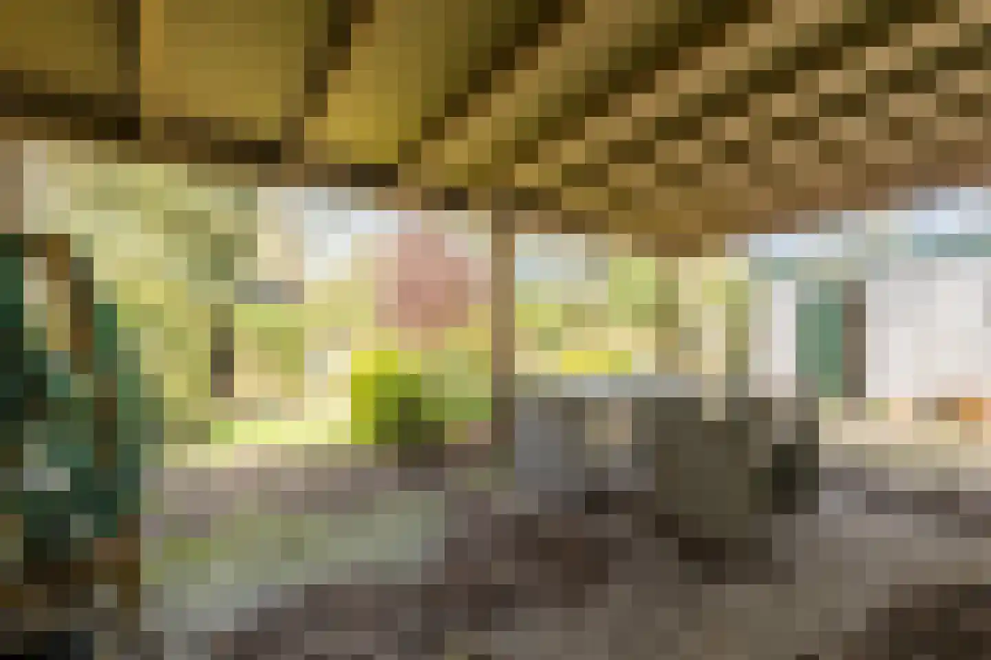 Gietermond 2 Stadskanaal thumbnail 30