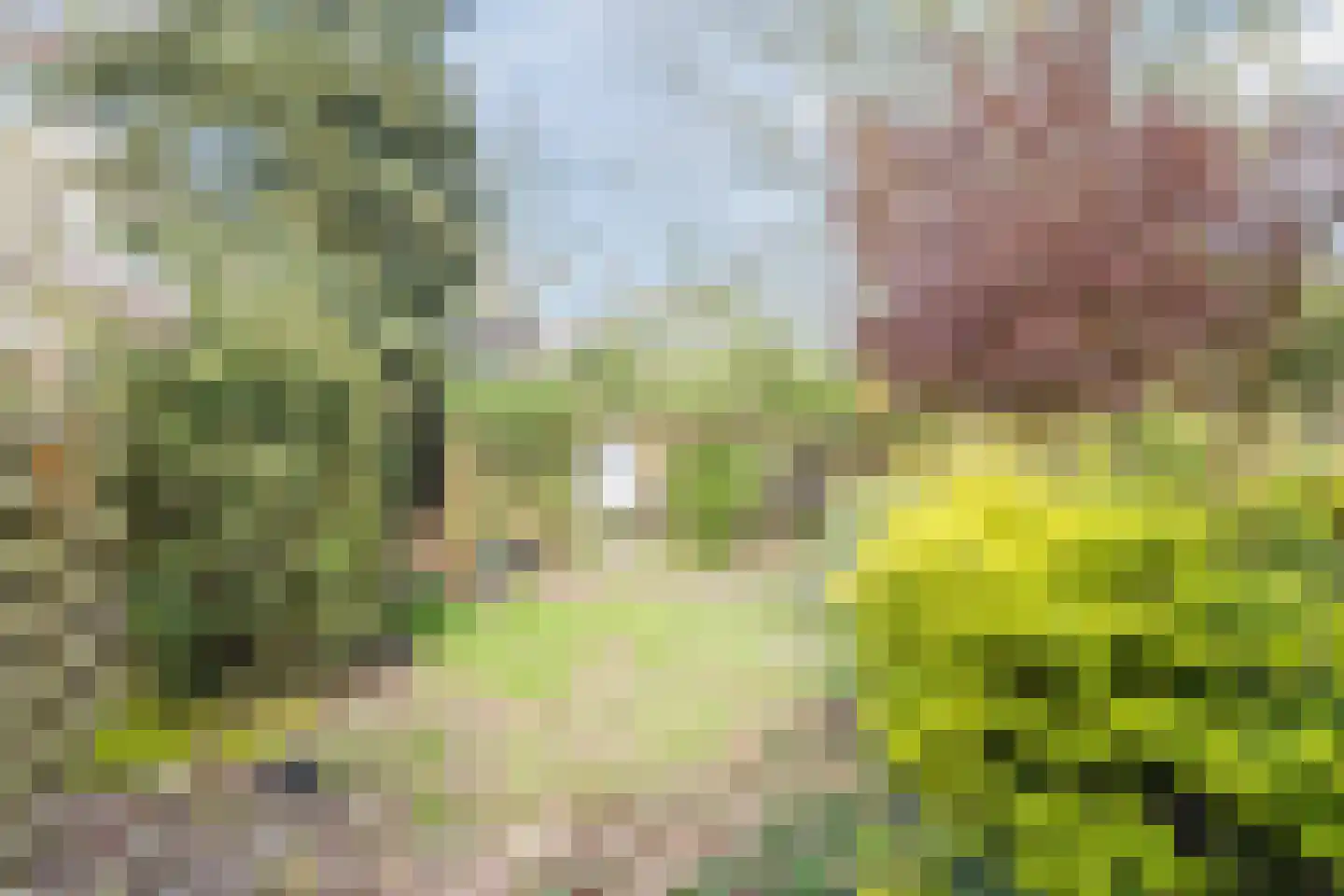 Gietermond 2 Stadskanaal thumbnail 31