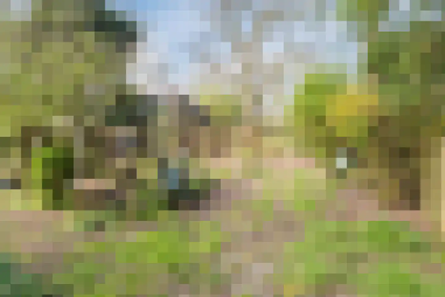 Gietermond 2 Stadskanaal thumbnail 34