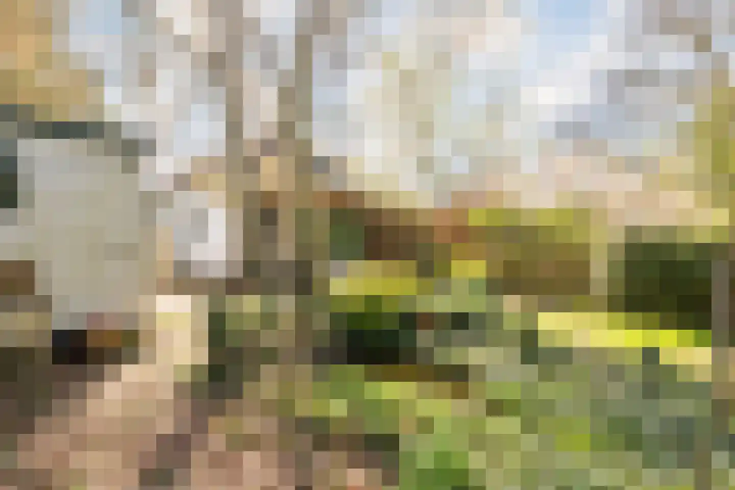 Gietermond 2 Stadskanaal thumbnail 35