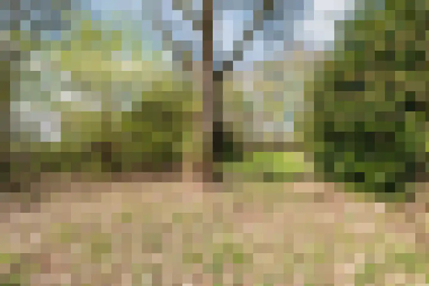 Gietermond 2 Stadskanaal thumbnail 36