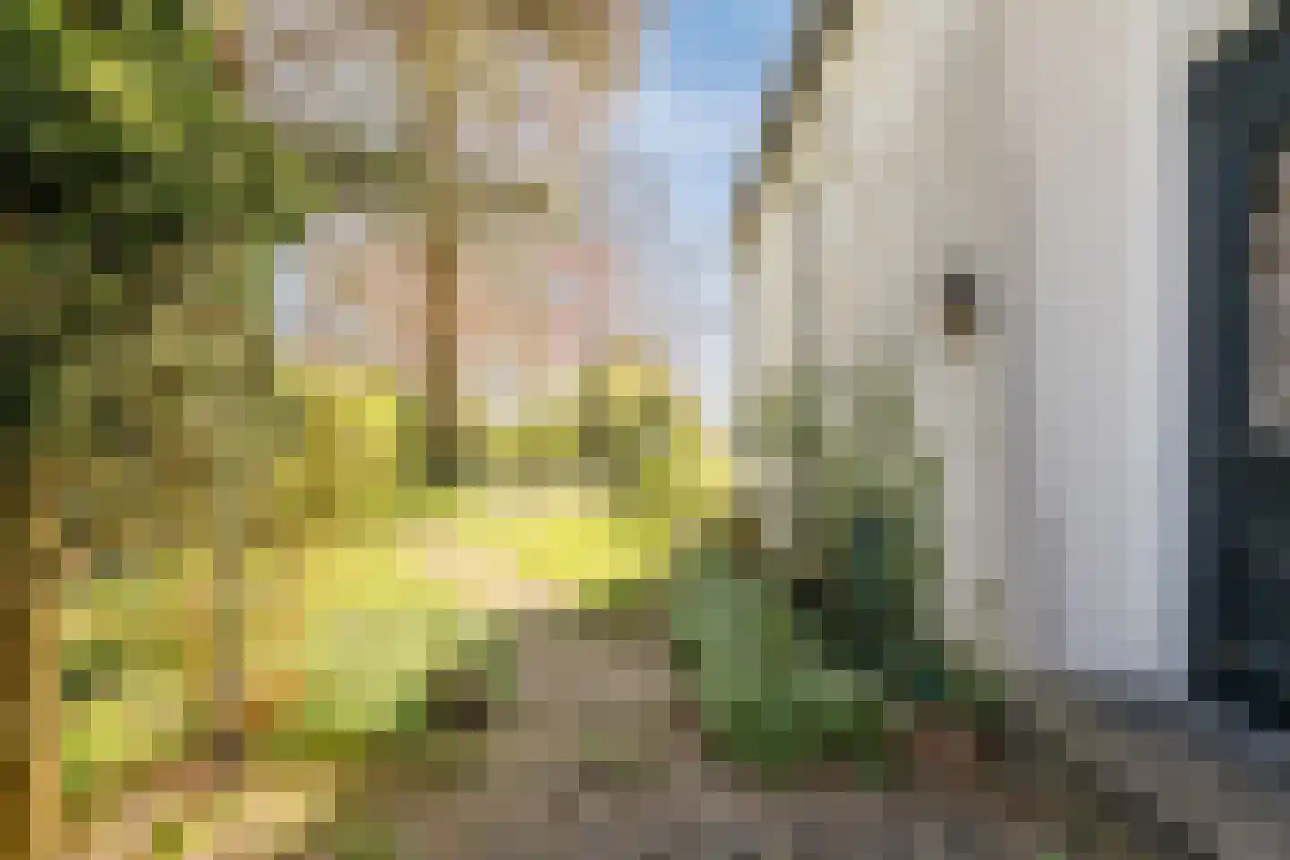 Gietermond 2 Stadskanaal thumbnail 7