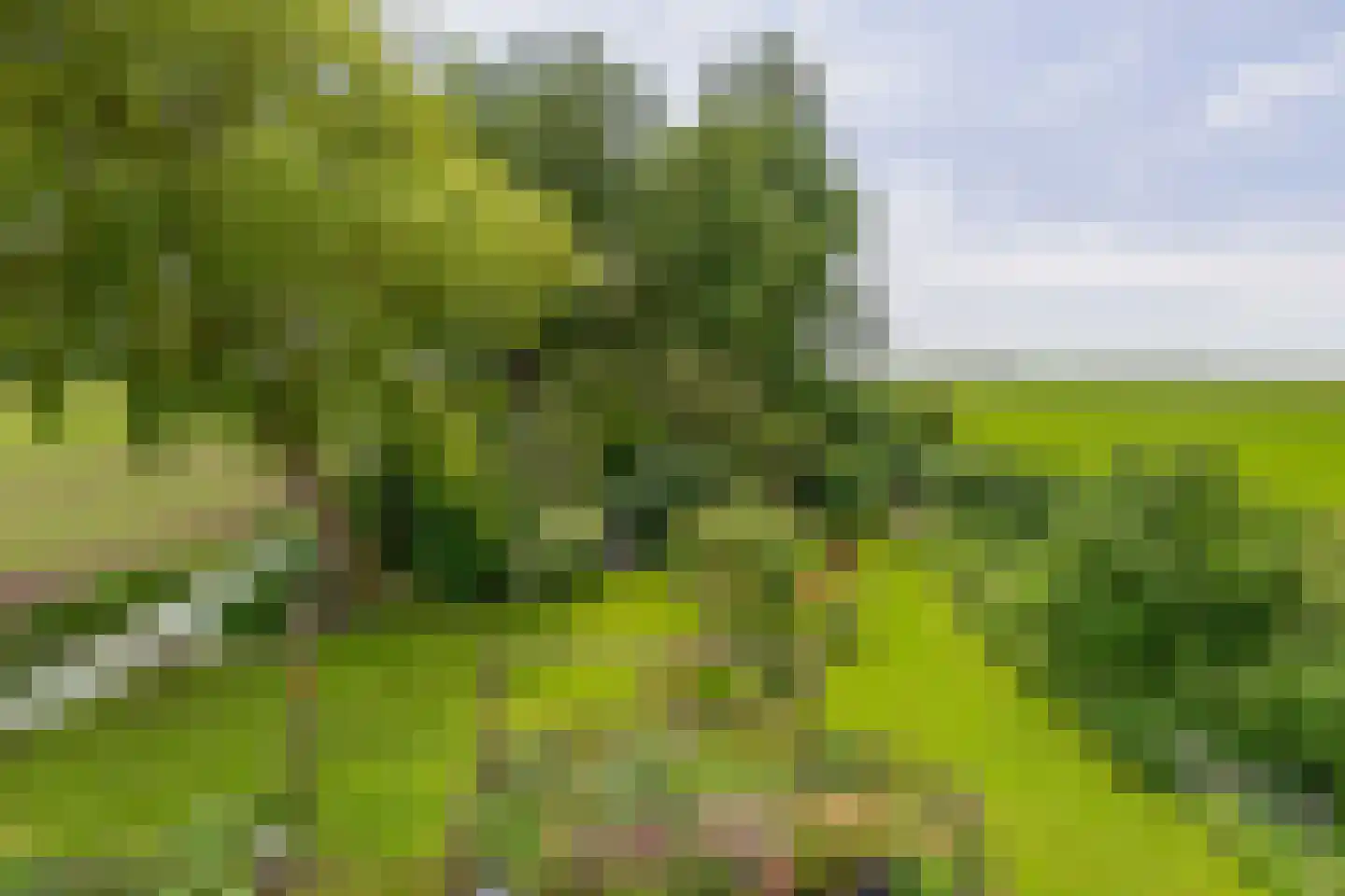 Gietersevaart 39 Oosterzee thumbnail 38