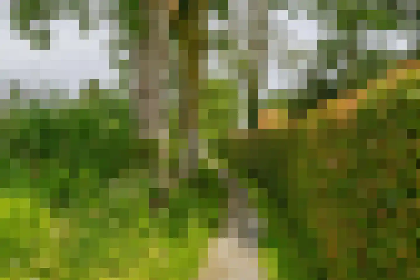 Gietersevaart 39 Oosterzee thumbnail 5