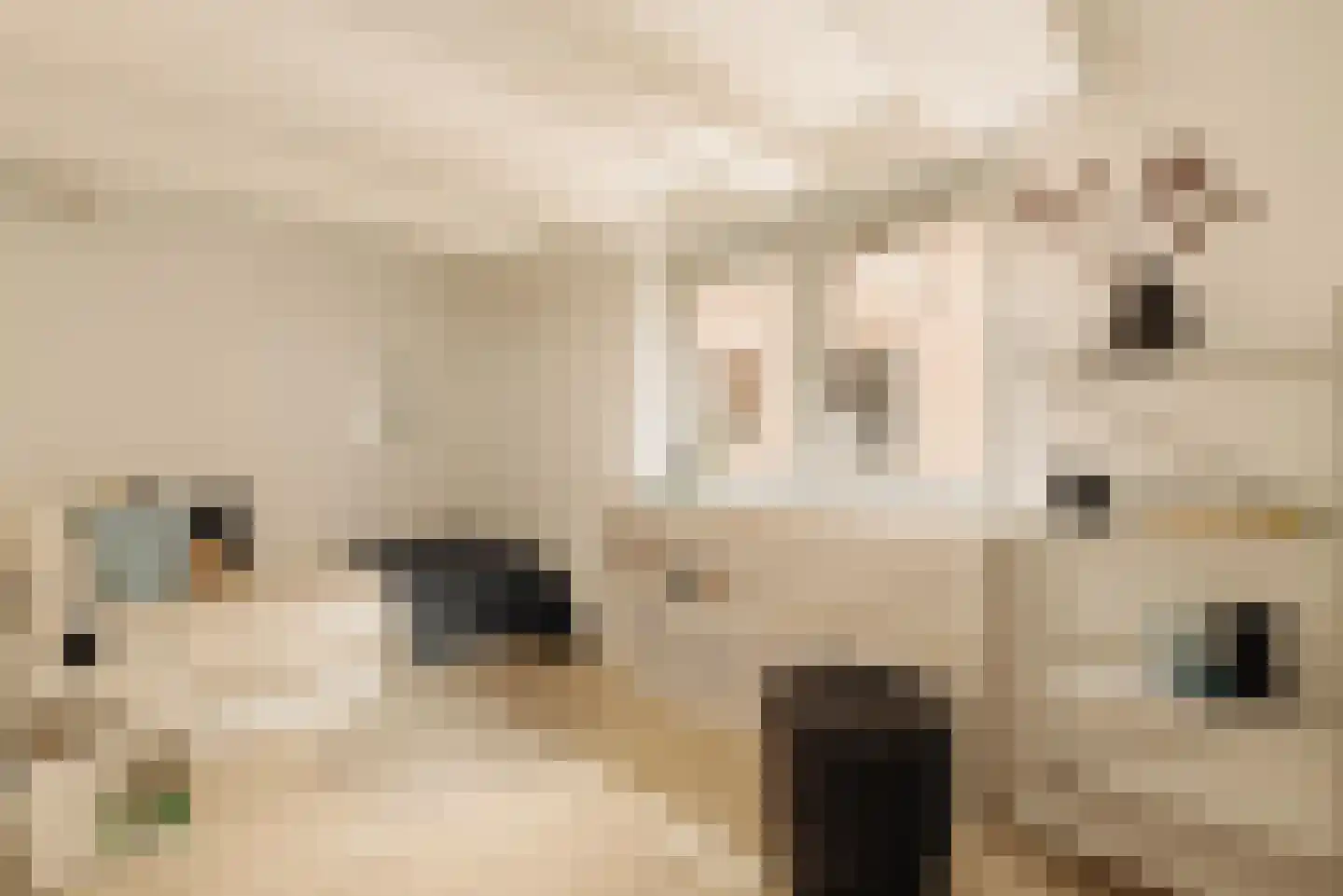 Gietersstraat 10 Amsterdam thumbnail 31