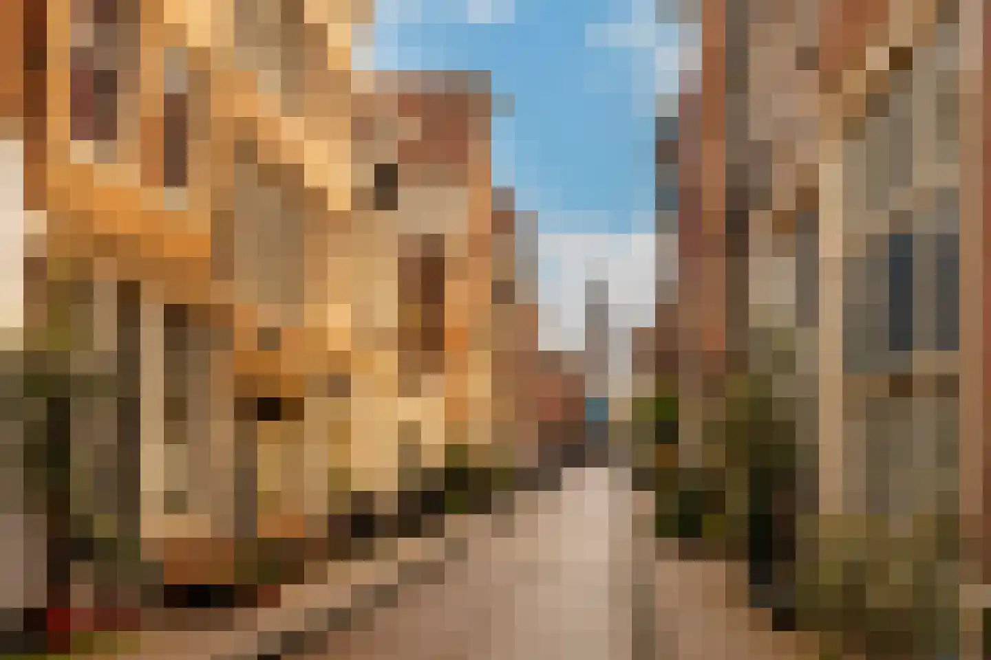 Gietersstraat 6 Amsterdam thumbnail 38